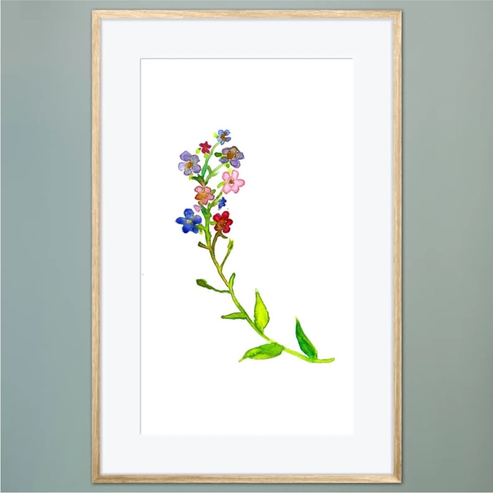Forget-Me-Not Flower Art Print Watercolor Painting Illustration Simple Floral
